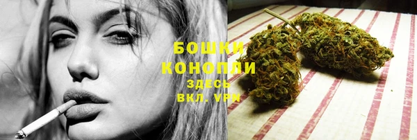 PSILOCYBIN Новозыбков