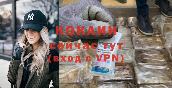 ГАЛЛЮЦИНОГЕННЫЕ ГРИБЫ Бикин