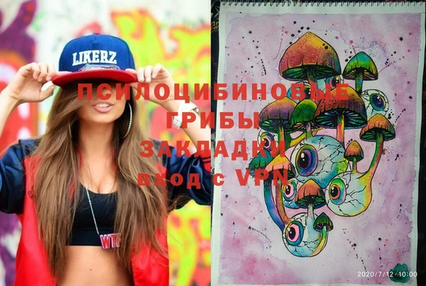 PSILOCYBIN Новозыбков