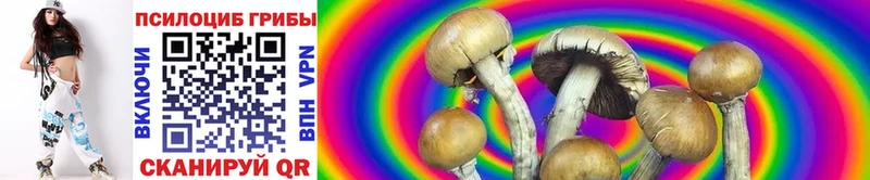 кракен как зайти  Сим  Псилоцибиновые грибы GOLDEN TEACHER 